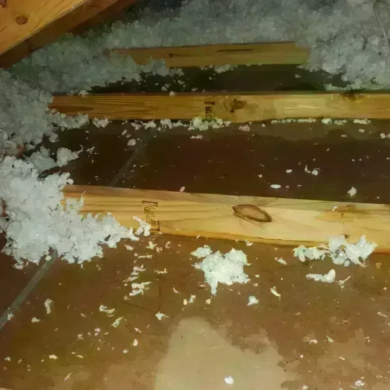 Attic Water Damage in Belville, NC